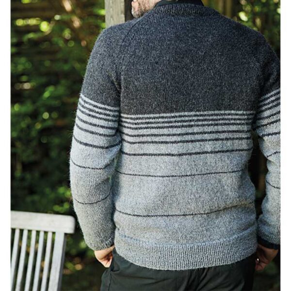 herresweater med raglan set bagfra